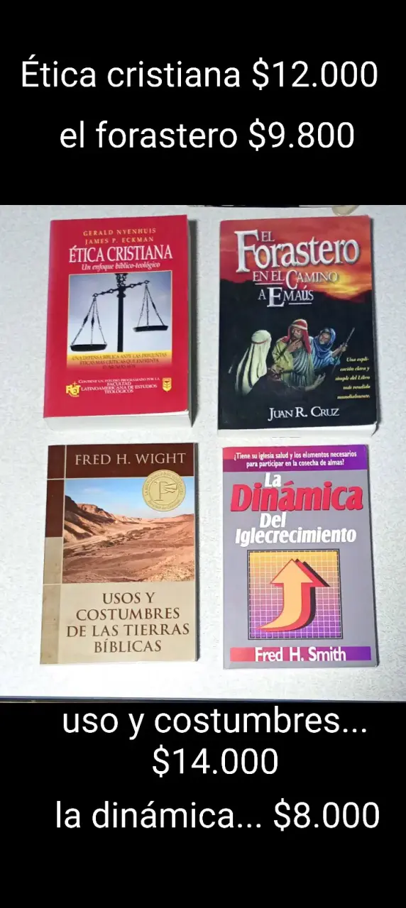 Lote de 4 libros variados - 5