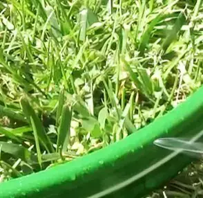 Manguera Sprinkler Rayün 15m - 3