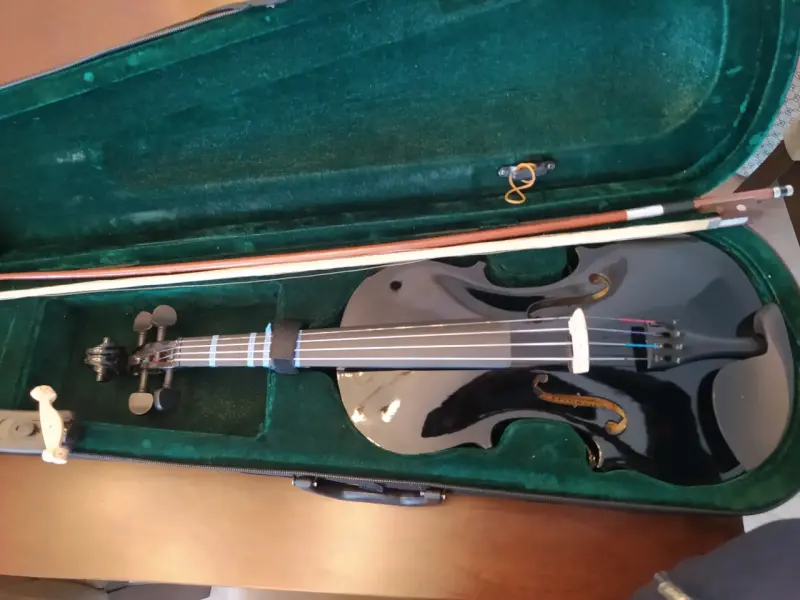Violín Livorno 4/4 - 5