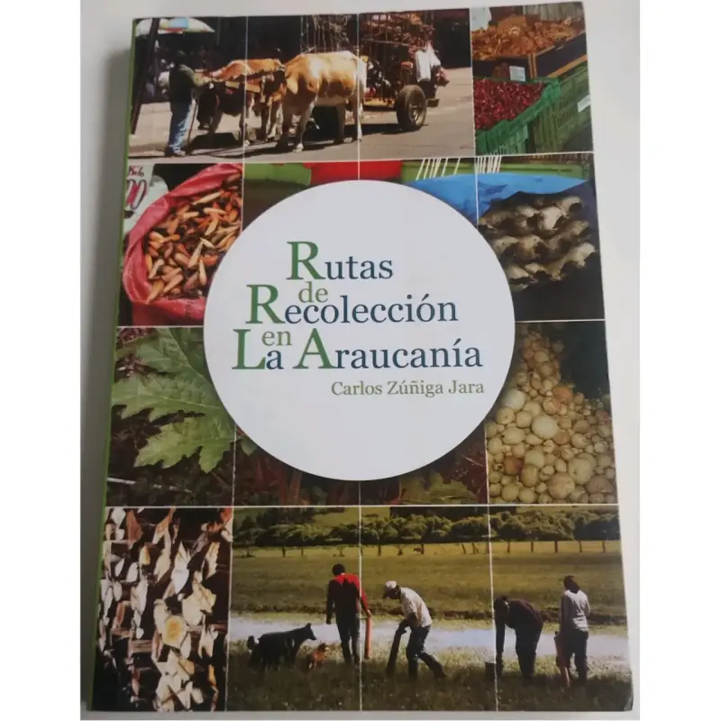 Rutas de Recolección en la Araucanía. C. Zúñiga - 1