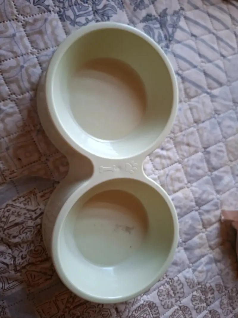 Cosas de gatitos (todo en venta) - 12