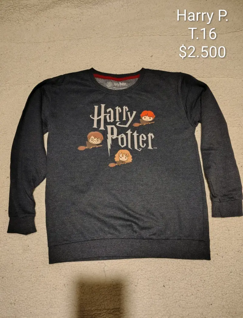 Polerón Harry Potter T.16