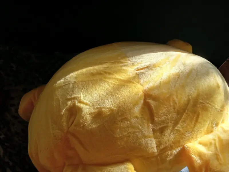 Cojín de peluche de pompompurin - 2