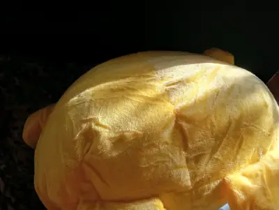 Cojín de peluche de pompompurin - miniatura 2