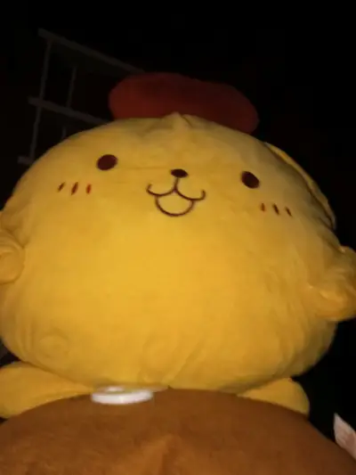 Cojín de peluche de pompompurin - miniatura 3