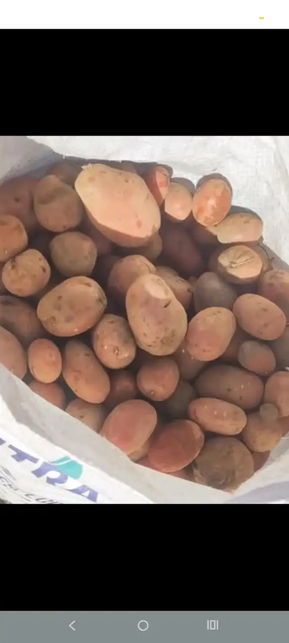papas rojas (Rossy)con entrega a domicilio - 3