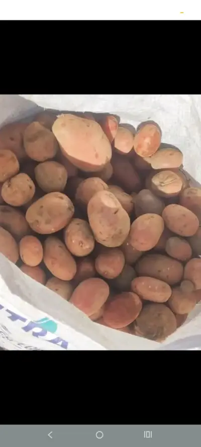 papas rojas (Rossy)con entrega a domicilio - miniatura 3