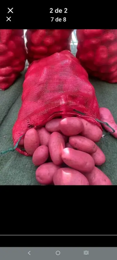 papas rojas (Rossy)con entrega a domicilio - miniatura 4