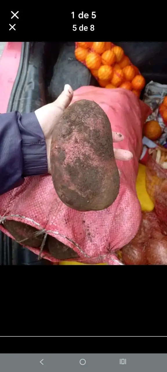 papas rojas (Rossy)con entrega a domicilio - 5