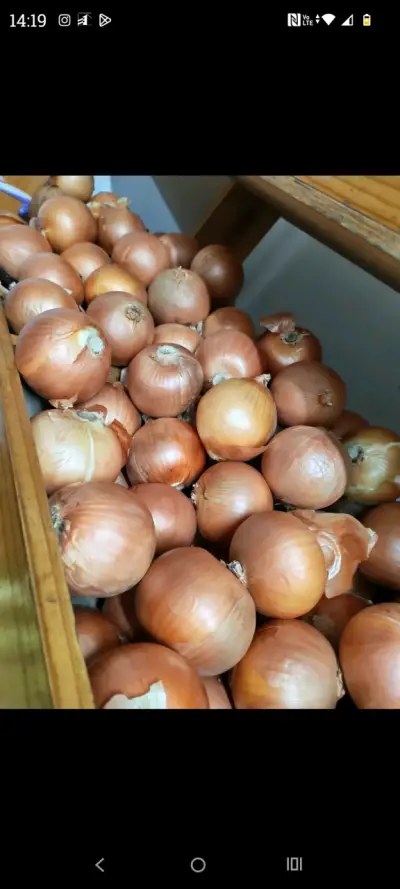 papas rojas (Rossy)con entrega a domicilio - miniatura 6