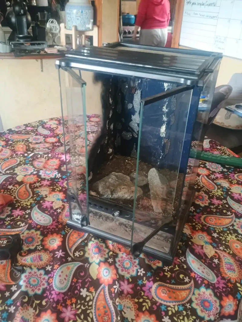 Terrario de vidrio con puerta - 1