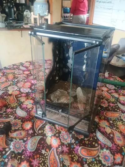 Terrario de vidrio con puerta - miniatura 1