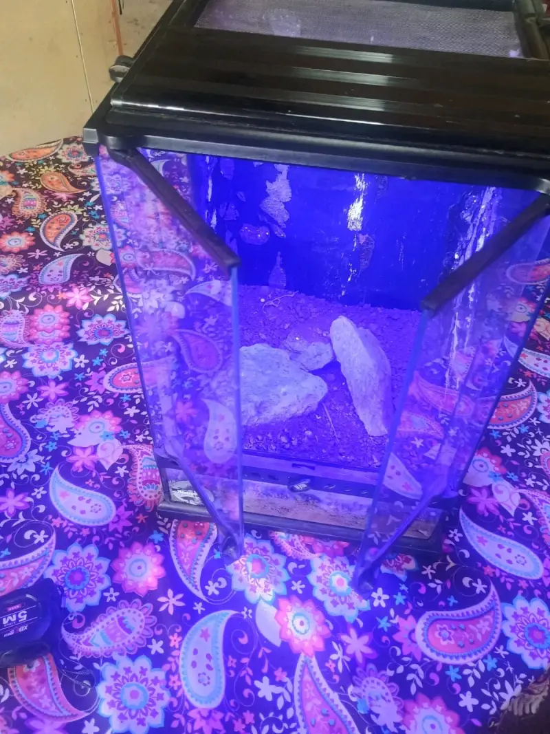Terrario de vidrio con puerta - 2