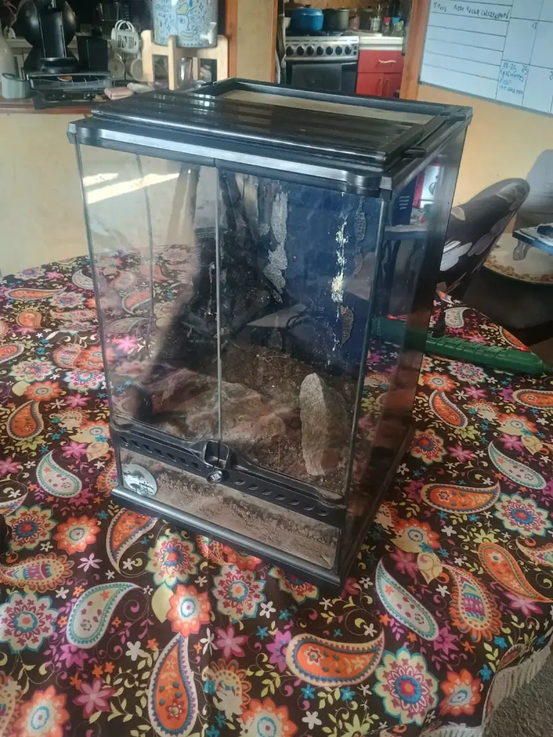 Terrario de vidrio con puerta - 4