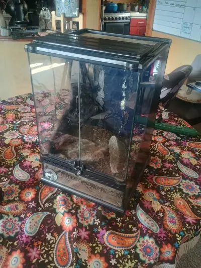 Terrario de vidrio con puerta - miniatura 4