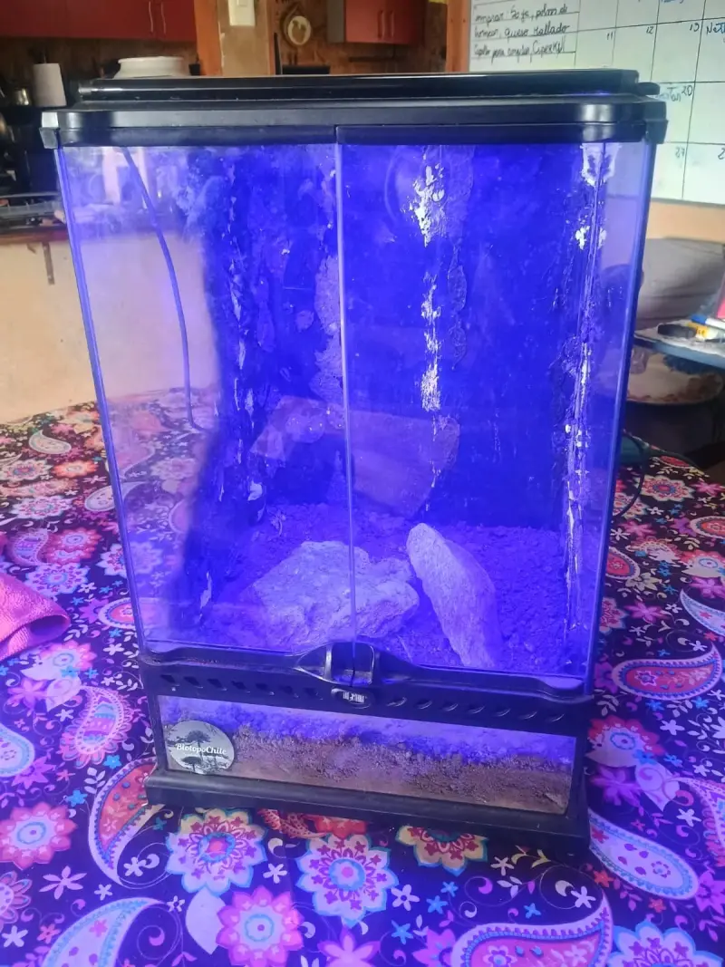 Terrario de vidrio con puerta - 5