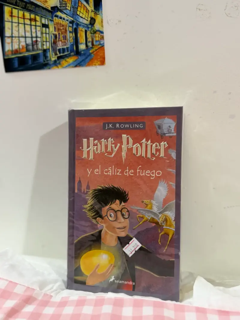 Harry Potter y el cáliz de fuego - 1