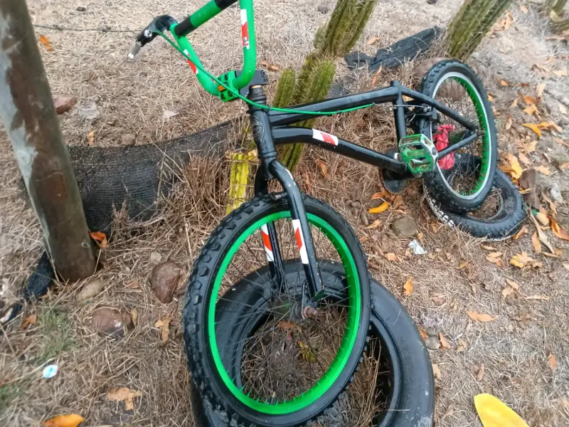 Bicicleta BMX OXFORD - 2