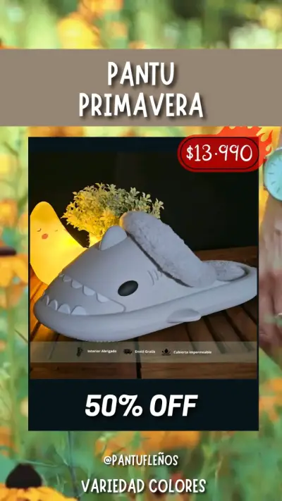 PANTUFLAS NUEVAS INVERNALES - miniatura 1