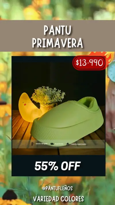 PANTUFLAS NUEVAS INVERNALES - miniatura 4