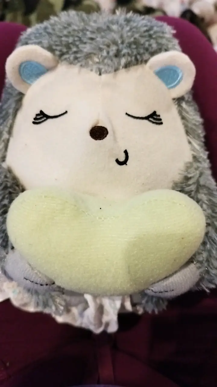 Peluchito erizo con corazón