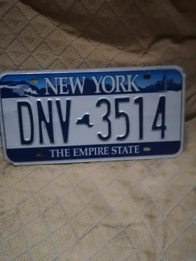Placa de auto New York.    C/U - miniatura 1