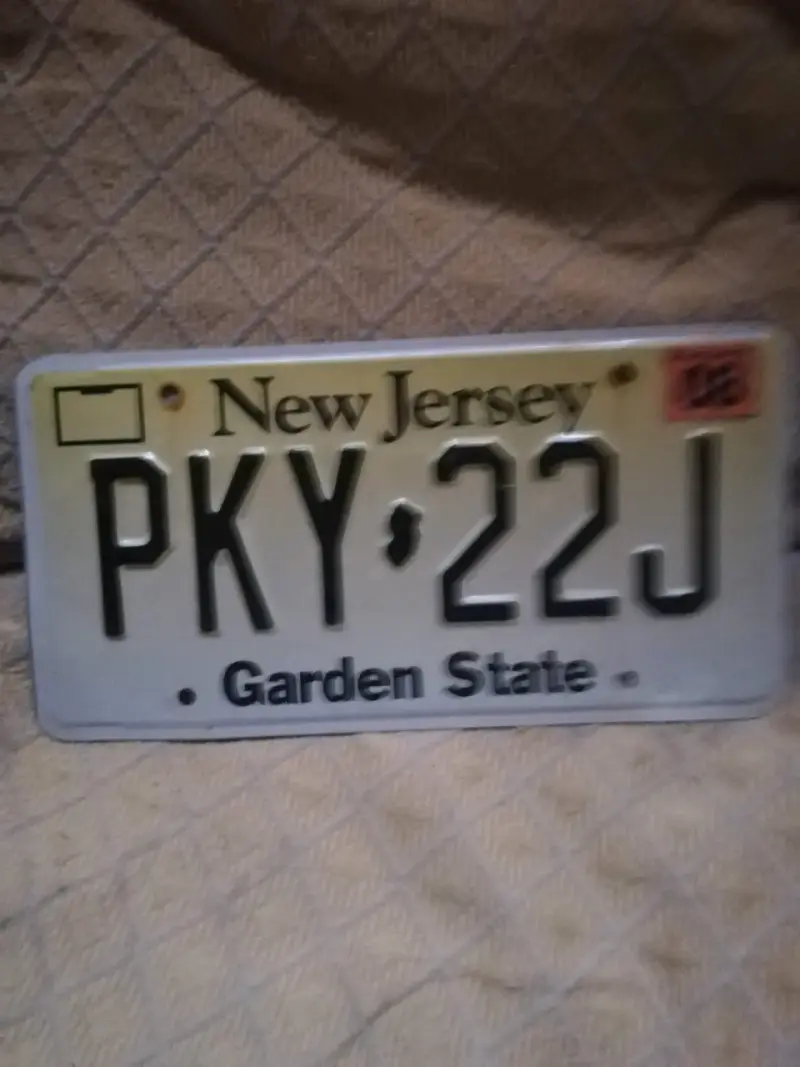 Placa de auto New York.    C/U - 4