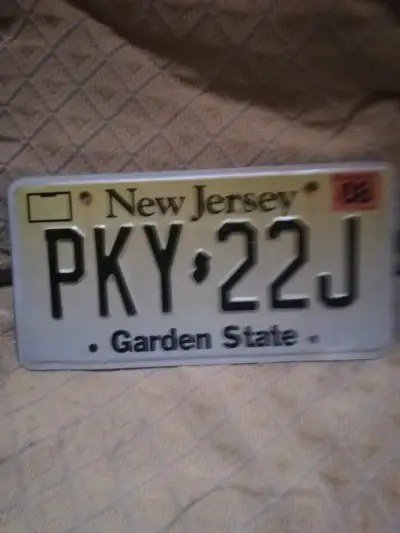 Placa de auto New York.    C/U - miniatura 4