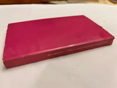 Hacia una psiquiatría comunitaria, J.Hochmann - miniatura 2