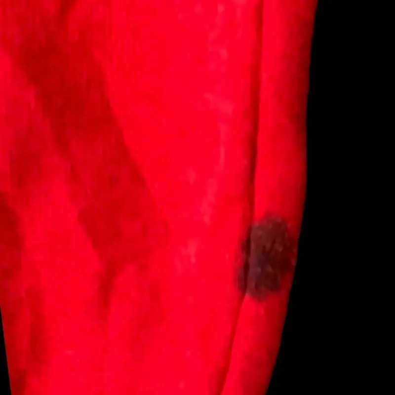 Polerón rojo con diseño gráfico - 4
