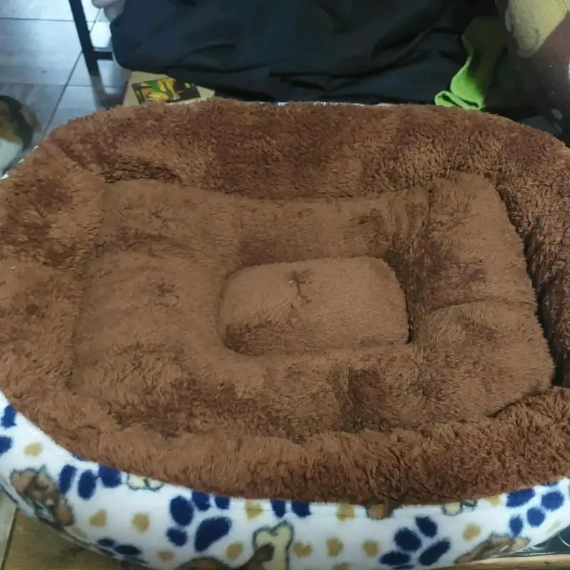 Cama para mascotas - 2