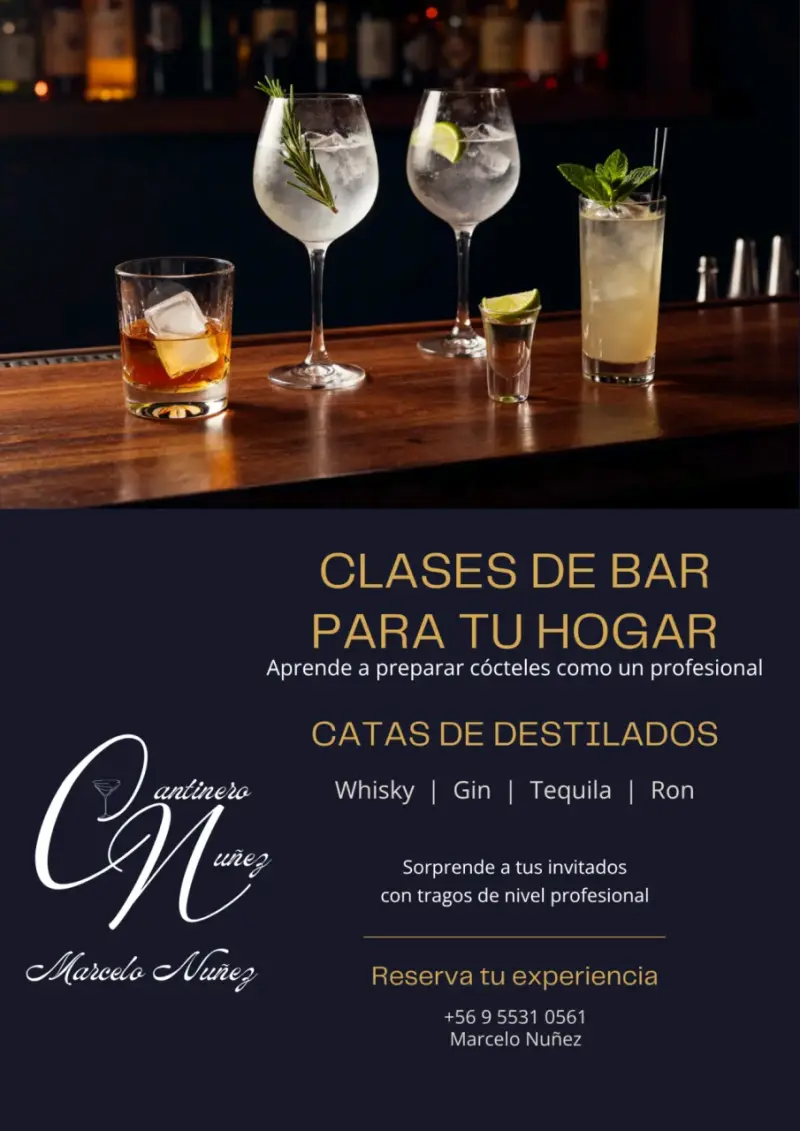 Clases de coctelería a domicilio