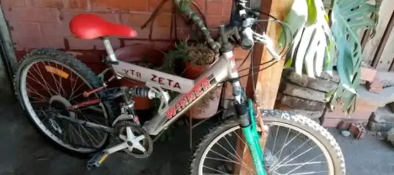 Bicicleta montaña Winner gris