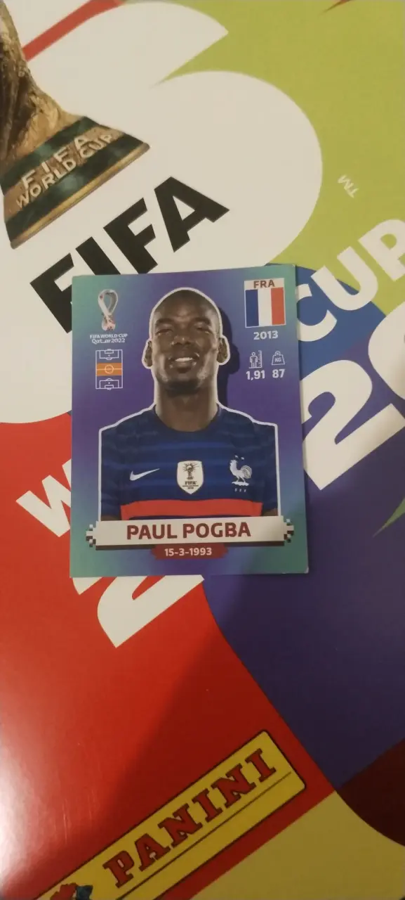 Lamina Paul Pogba Qatar 2022 - 1