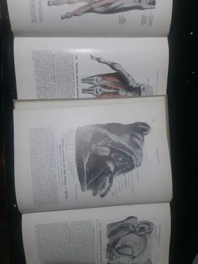 Atlas de Anatomía Humana Spalteholz - miniatura 2