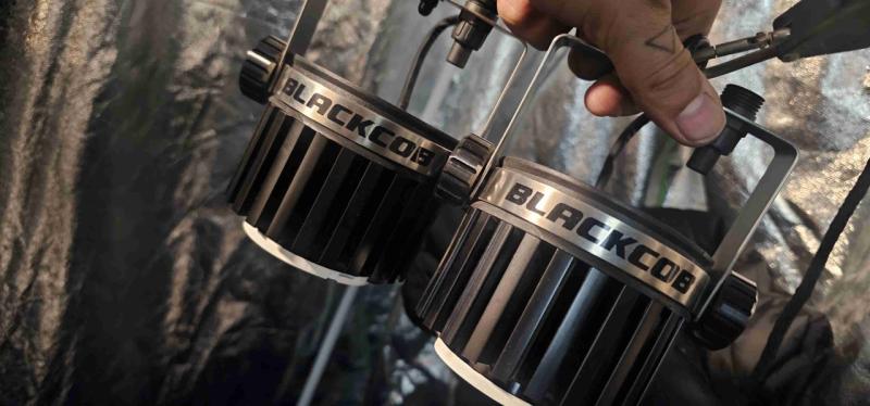 2 Focos LED Blackcob para cultivo - 1