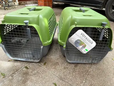 Transportadoras verdes para mascotas - miniatura 1