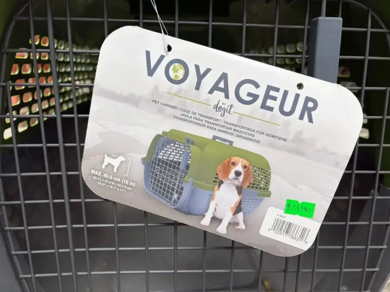Transportadoras verdes para mascotas - 2