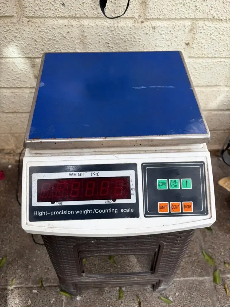 Balanza digital de precisión 6kg