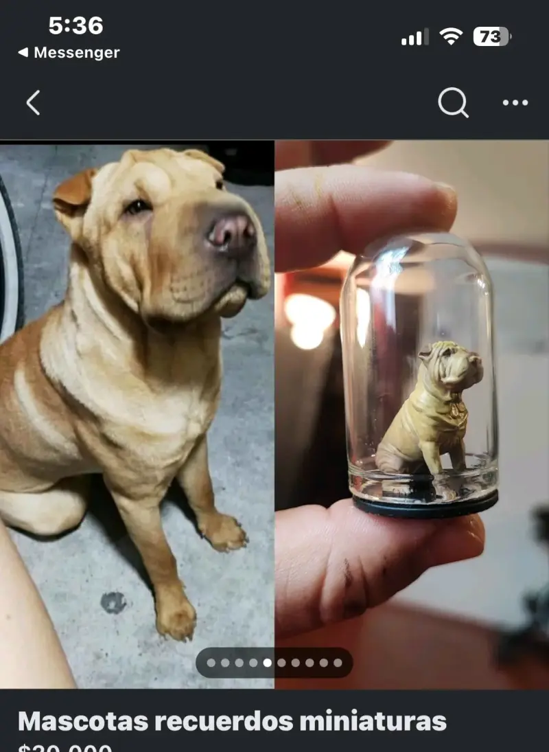 Mini escultura personalizada en cúpula - 3