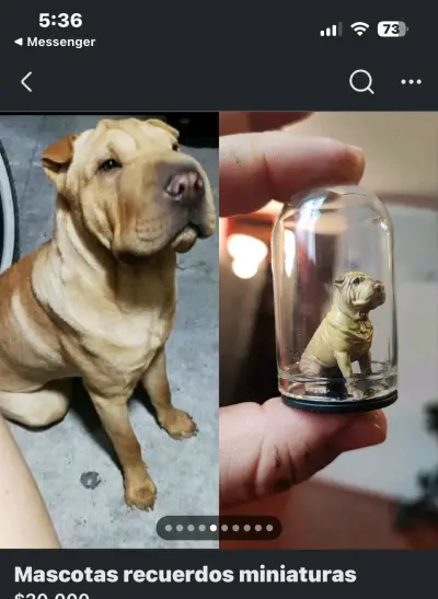 Mini escultura personalizada en cúpula - miniatura 3