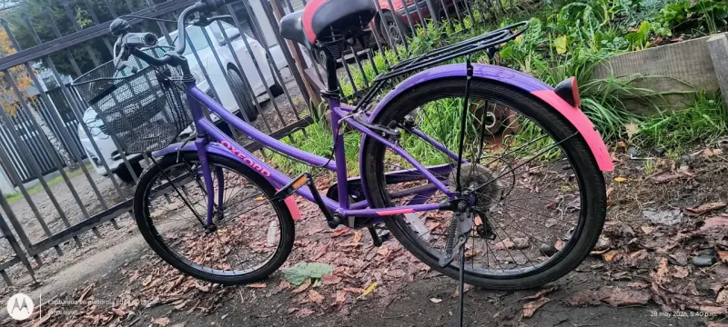Bicicleta Urbana Morada Oxford - 2