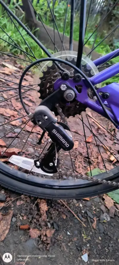 Bicicleta Urbana Morada Oxford - miniatura 4