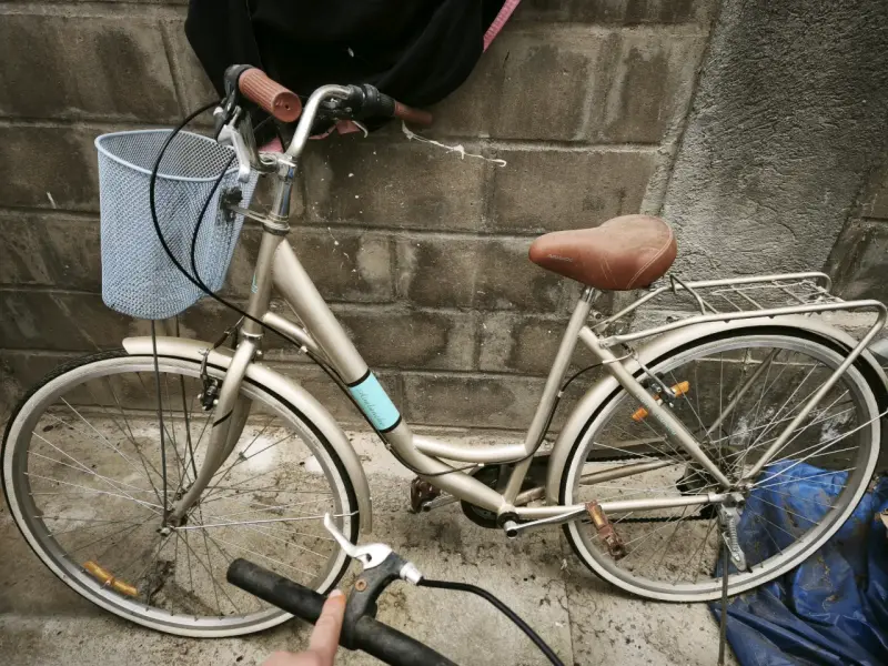 Bicicleta urbana con canasto - 1