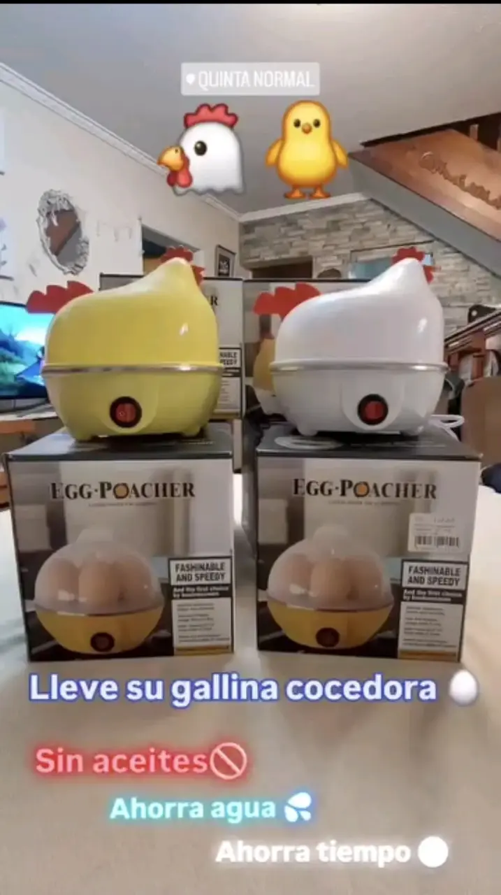 Cocedora al vapor tipo gallina - 1