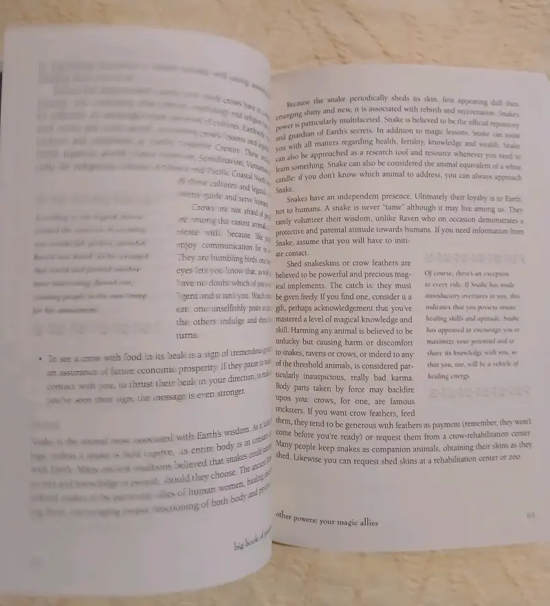 Libro 'The Big Book of Practical Spells' - 2