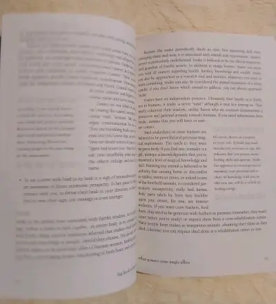 Libro 'The Big Book of Practical Spells' - miniatura 2