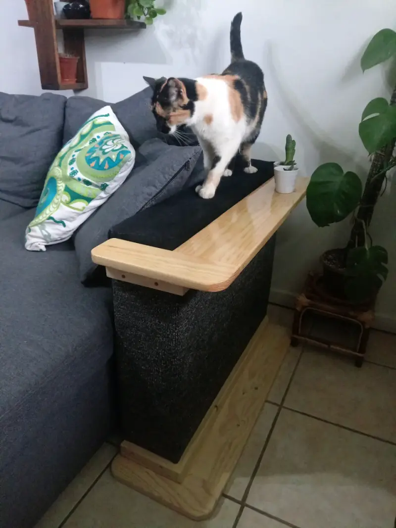 Rascador para gatos de madera - 5