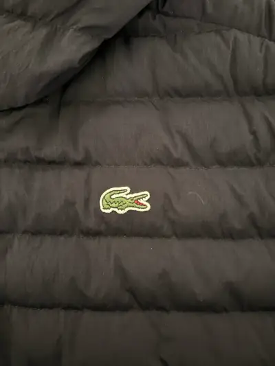 Chaqueta lacoste - miniatura 3