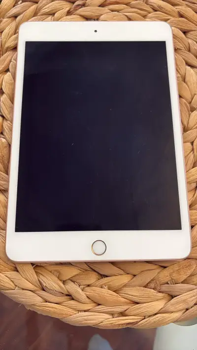 IPad mini 5 64gb - miniatura 1